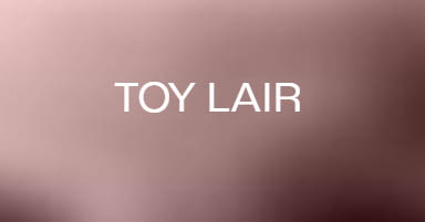Toy Lair