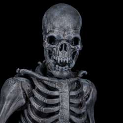 Mythic Legions Ashen Skeleton figure