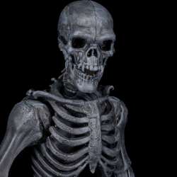 Mythic Legions Ashen Skeleton figure