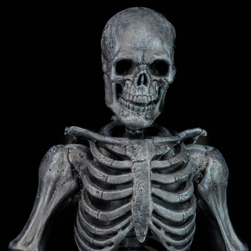 Ashen Skeleton Mythic Legions figure