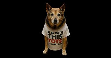 Play With This Toys & Collectibes